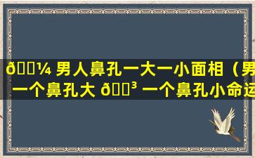 🐼 男人鼻孔一大一小面相（男人一个鼻孔大 🌳 一个鼻孔小命运）